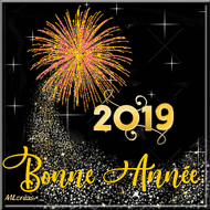Voeux pour la nouvelle année 2019 !